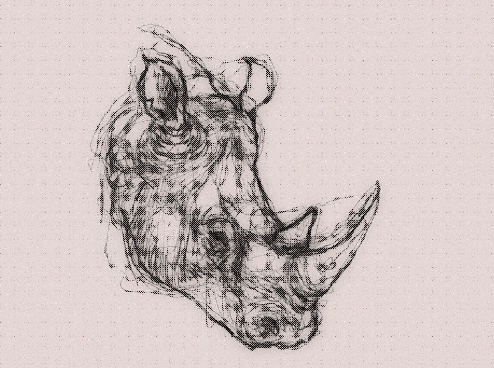 Javan rhinoceros Drawing 