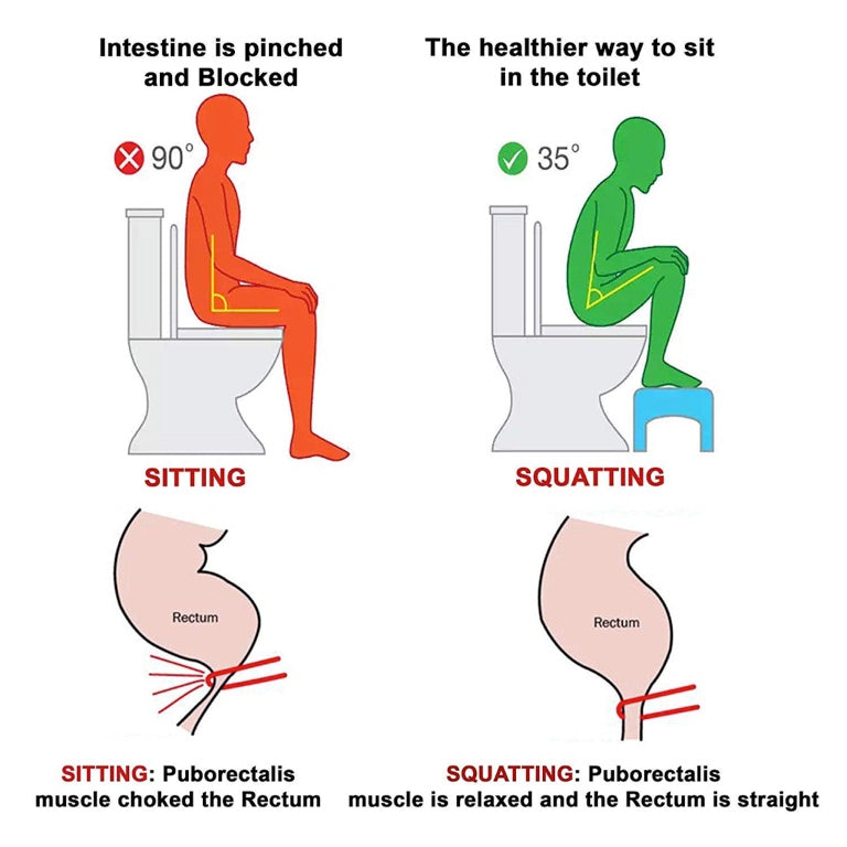 best position to poop