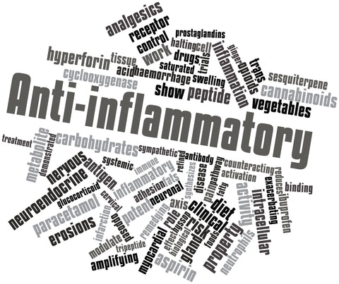 An image a collage of words associated with inflammation with explanatory text. Explanatory text is described below. 
