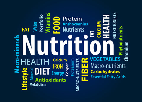 An image of a nutrition word cloud with text described below. 
