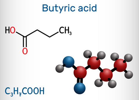 A graphical image of the structural chemical formula and molecule model of butyric acid with text that reads butyric acid.