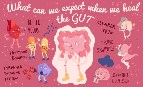 Cartoon image showing the benefits of probiotics and prebiotics for the gut with text that reads what can we expect when we heal the gut? Better moods, hormone balance, stronger immune system, clearer skin, less food sensitivities, less anxiety and depression. 