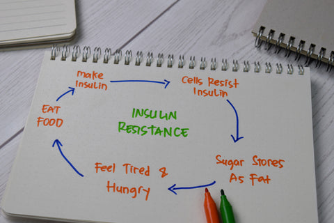 An image of a notebook with the word 'insulin resistance' written in the middle. There are arrows around this word that lead to explanations of the things that cause insulin resistance. Explanatory text is below.