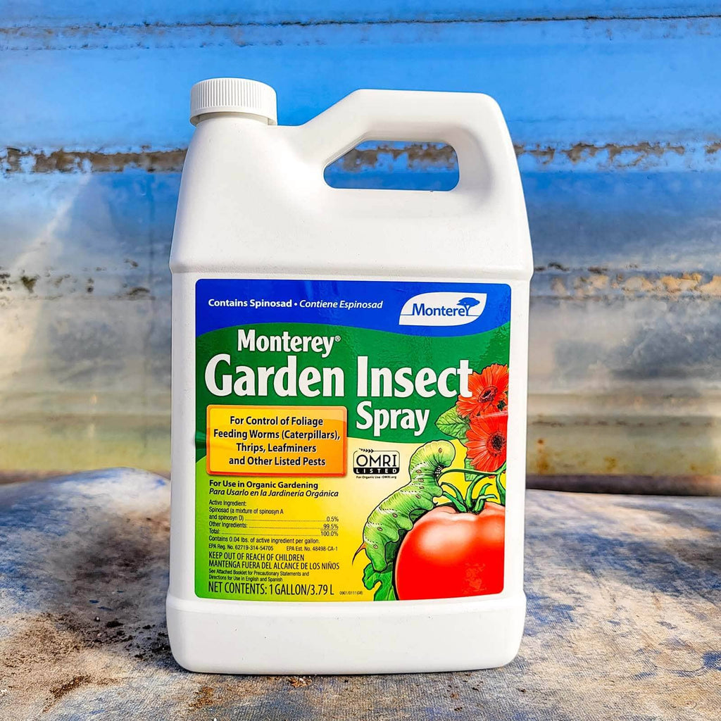 Bacillus Thuringiensis Products - Tips For Using Bt In The Garden