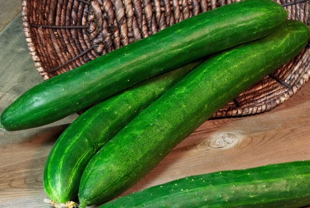 A Grade Tamil Nadu Green English Cucumber, Loose