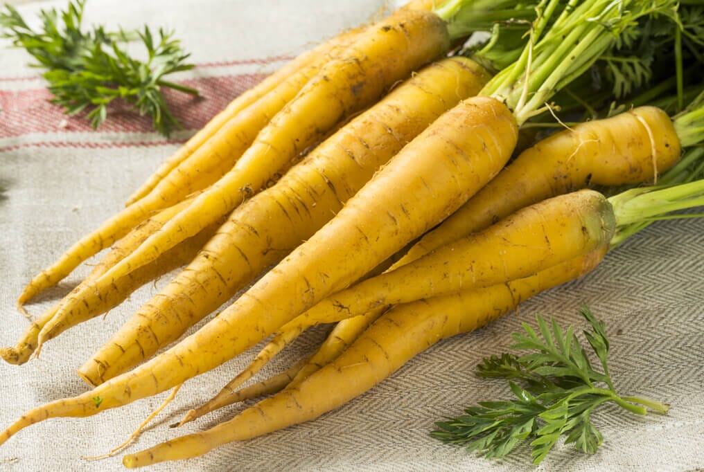 yellow carrot