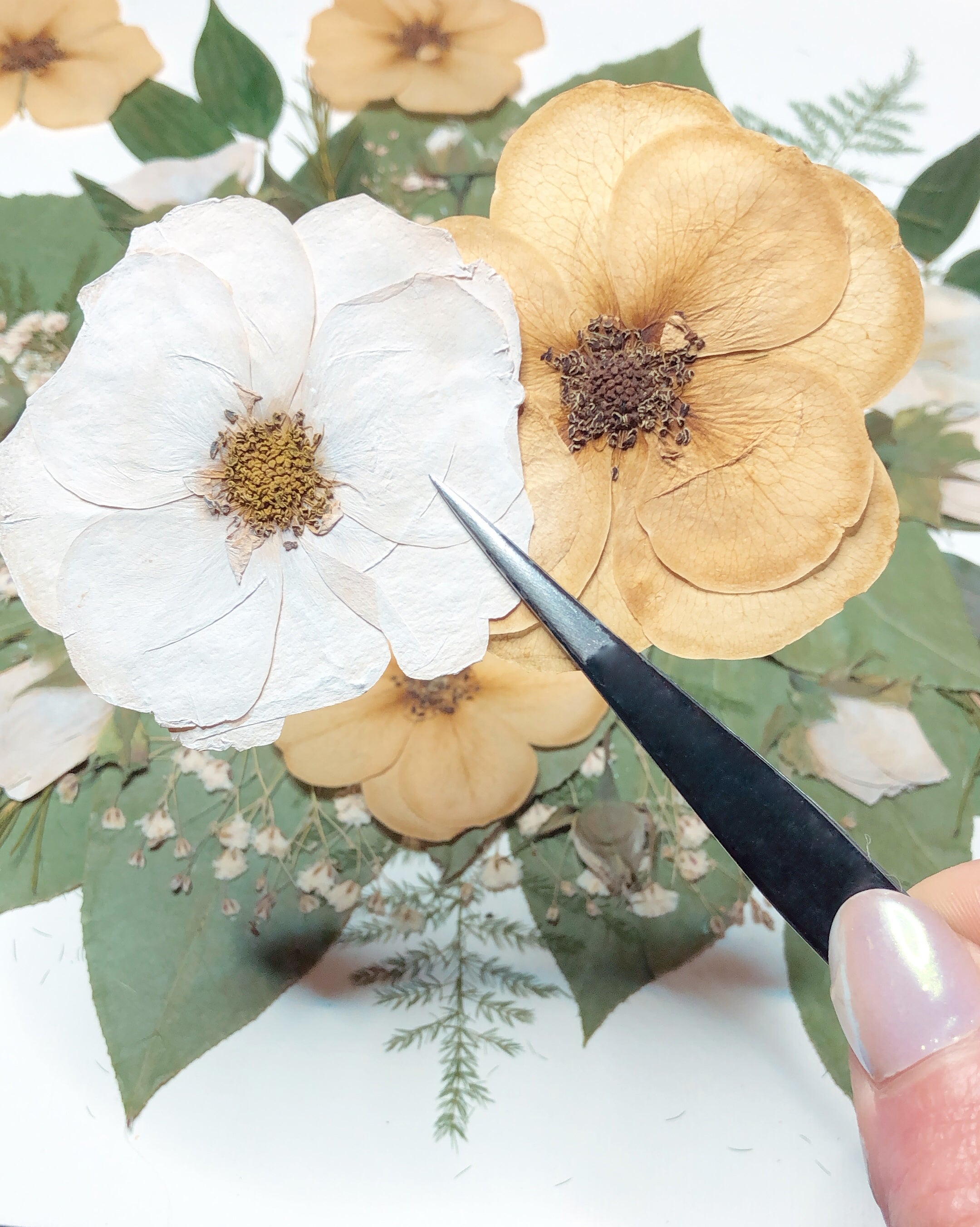 Common Flower Preservation Assumptions & Why You Should Hire a Profess