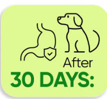 30 Days