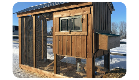 DIY Chicken Coop Design