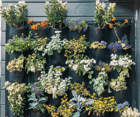 Vertical plant garden in a hanging fabric planter.