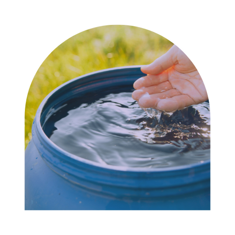 Collecting rain water in water barrel