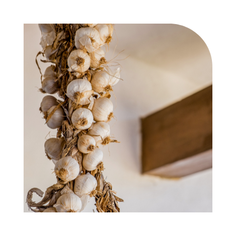 Hanging garlic twist