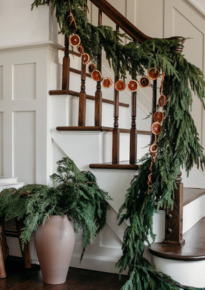 Deluxe Norfolk Pine Garland - 96" - Luxe Lane