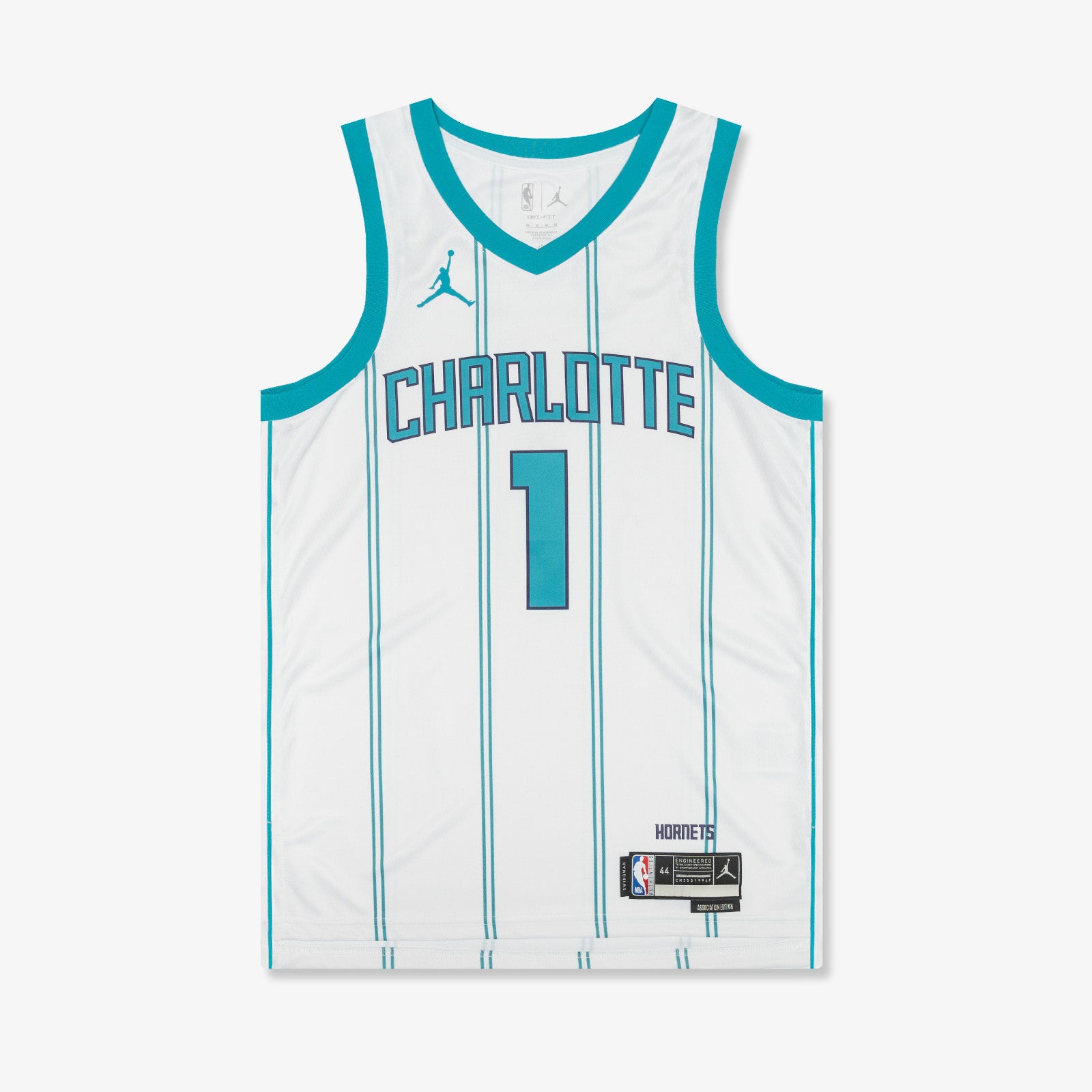 Jordan Youth Charlotte Hornets LaMelo Ball #1 Dri-Fit Swingman Jersey - Teal - XL Each