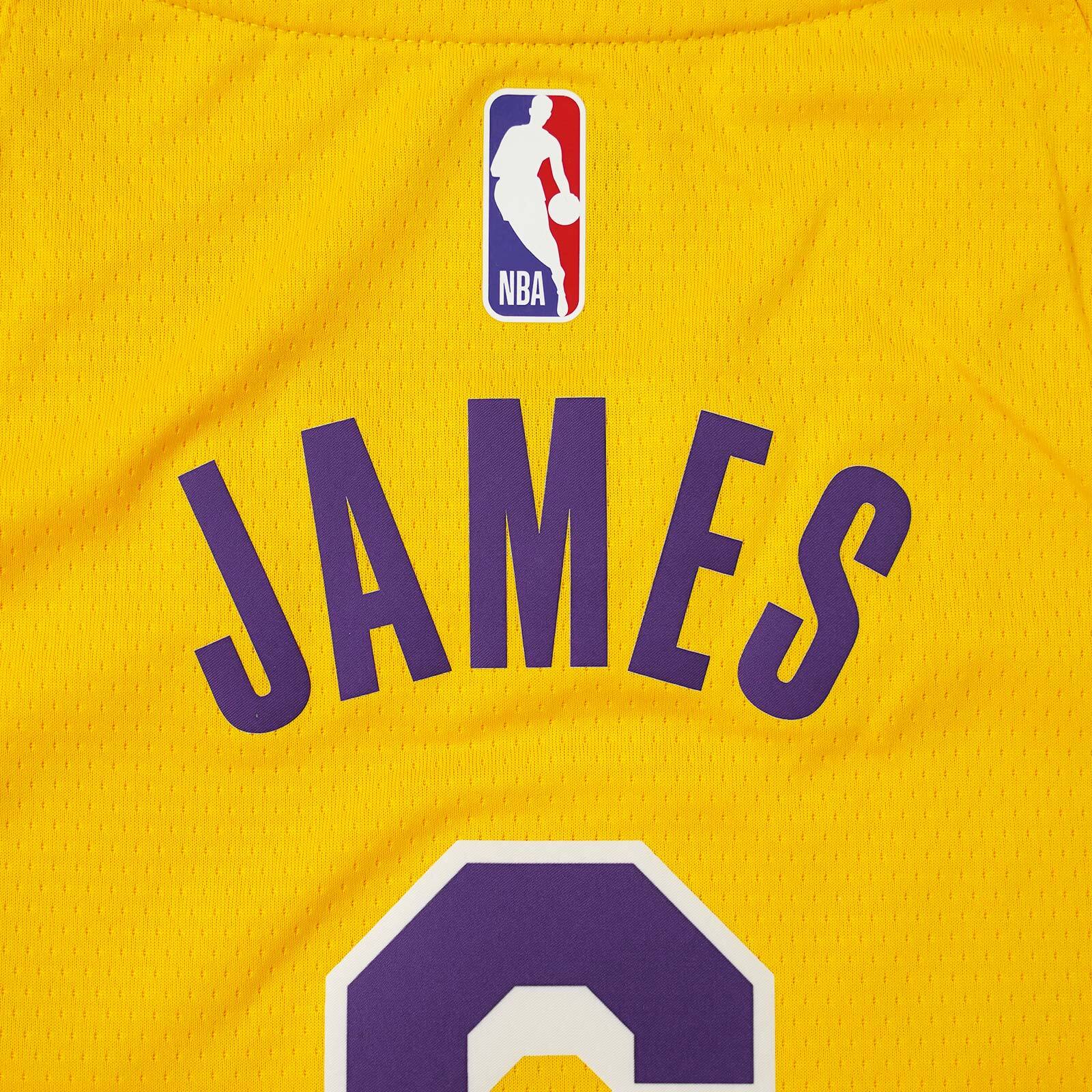 Nike LA Lakers LeBron James Swingman Icon Edition Youth Jersey