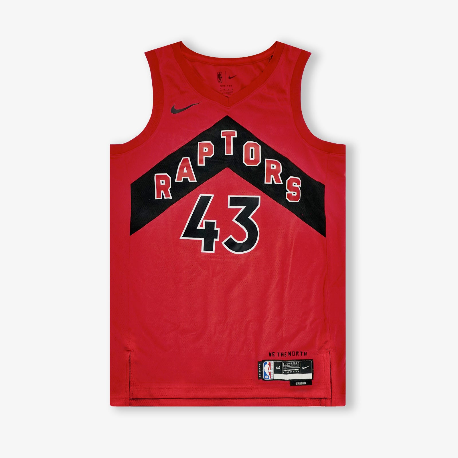 Pascal Siakam Toronto Raptors Nike Hardwood Classics Swingman Jersey Men XL  NBA
