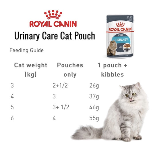 Royal Canin RECOVERY Diet Can Wet Food for Cats and Dogs 195g