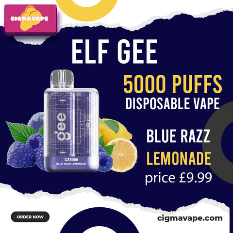 How Much are Elf Bar 5000 Puffs Vapes?