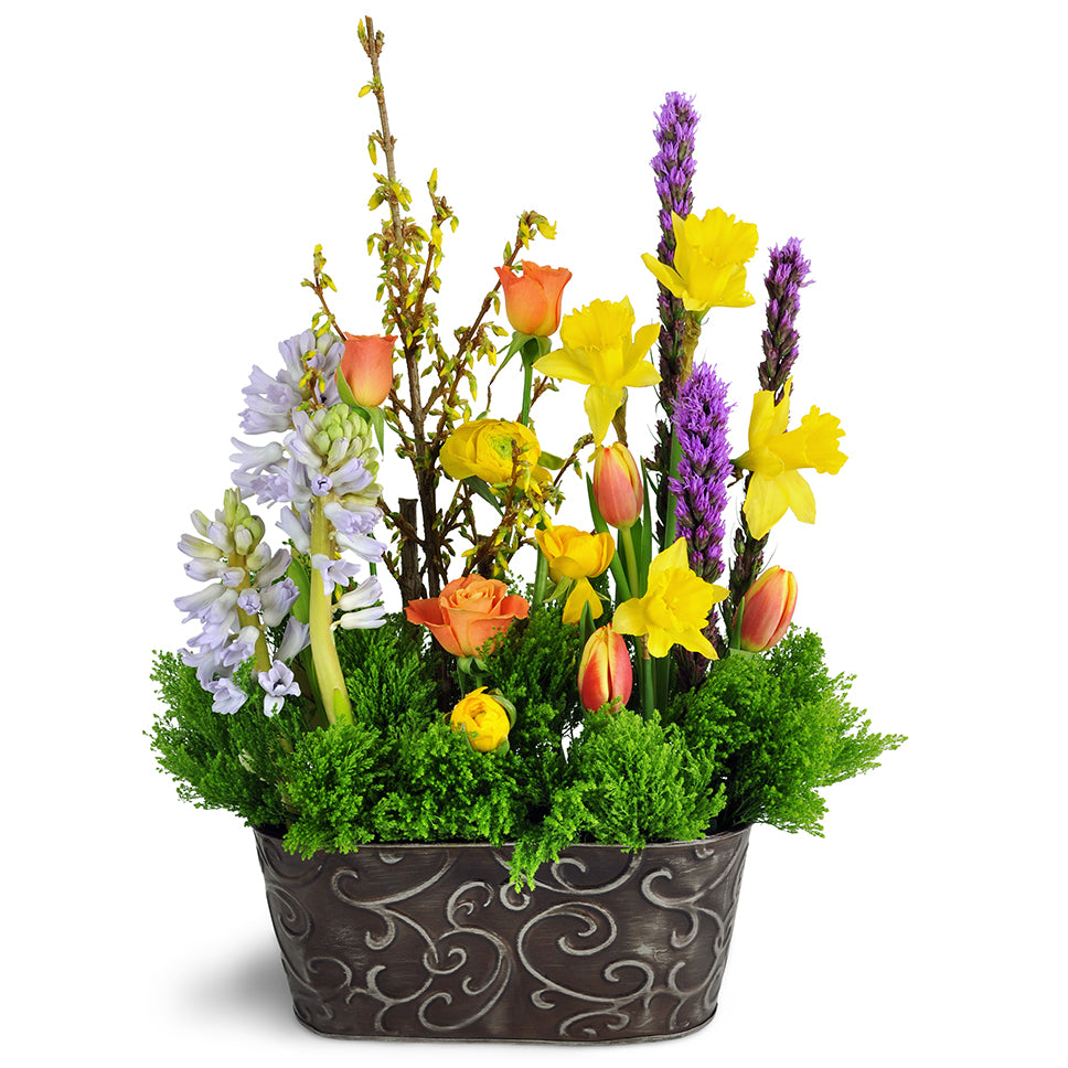 Gardener's Delight. Gorgeous hyacinth, tulips, daffodils, roses, ranunculus, and forsythia are arranged in an antiqued container.