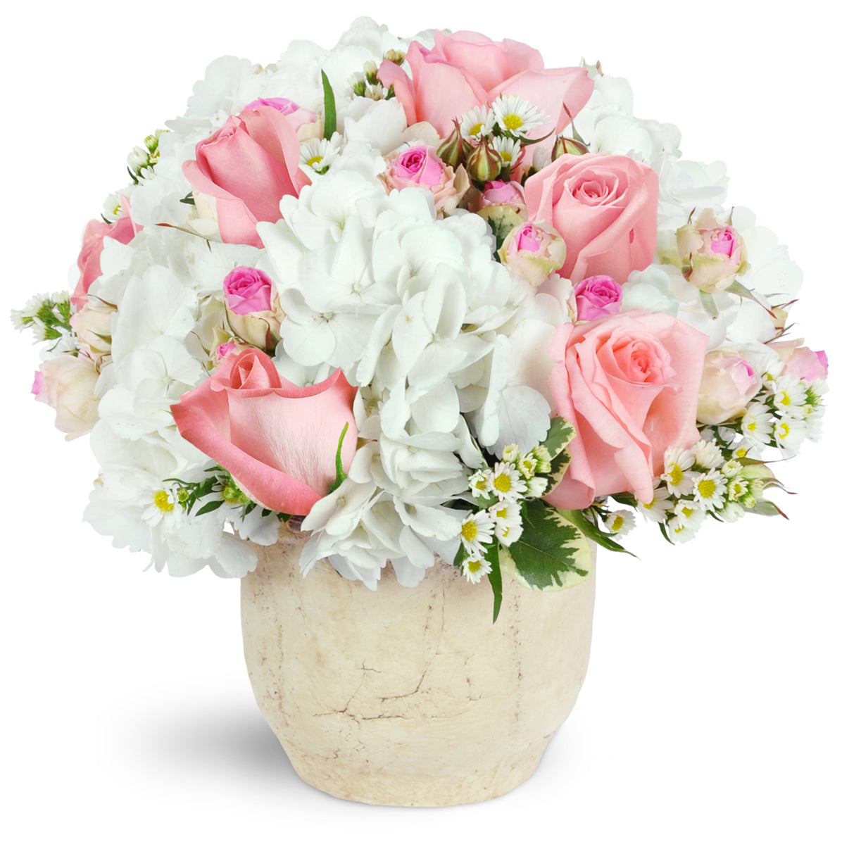 Graceful Embrace - Premium. Bursting with white hydrangea, light pink roses, and spray roses, this delicate arrangement is perfect for any occasion.