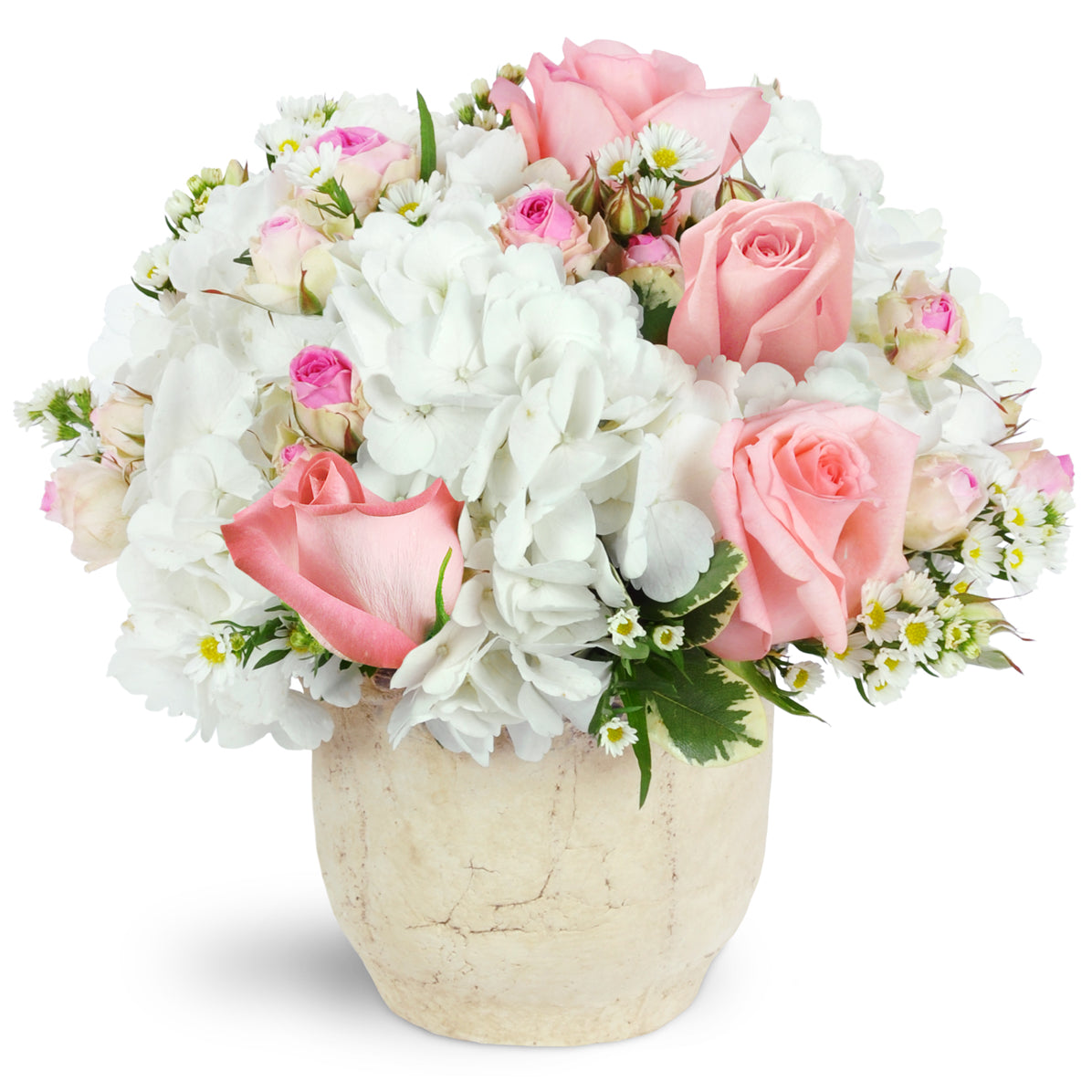 Graceful Embrace - Deluxe. Bursting with white hydrangea, light pink roses, and spray roses, this delicate arrangement is perfect for any occasion.