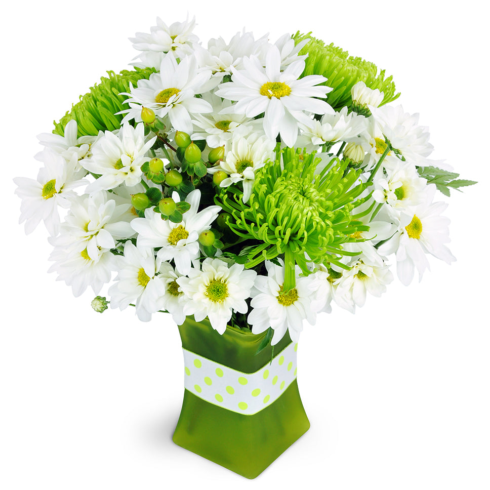 Sublime Lime™. Green fuji mums and fresh white daisies are cheerfully arranged in a unique green vase.