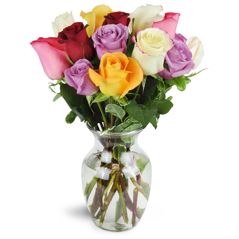 Rosie Potpourri™. Treat them to more than a dozen roses in an assortment of lovely shades.