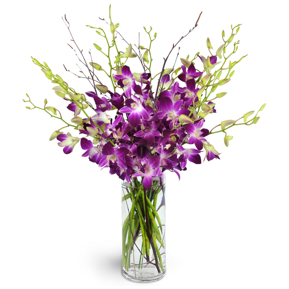 You're My Everything. A dozen stems of purple dendrobium orchids are perfectly accented with birch twigs.