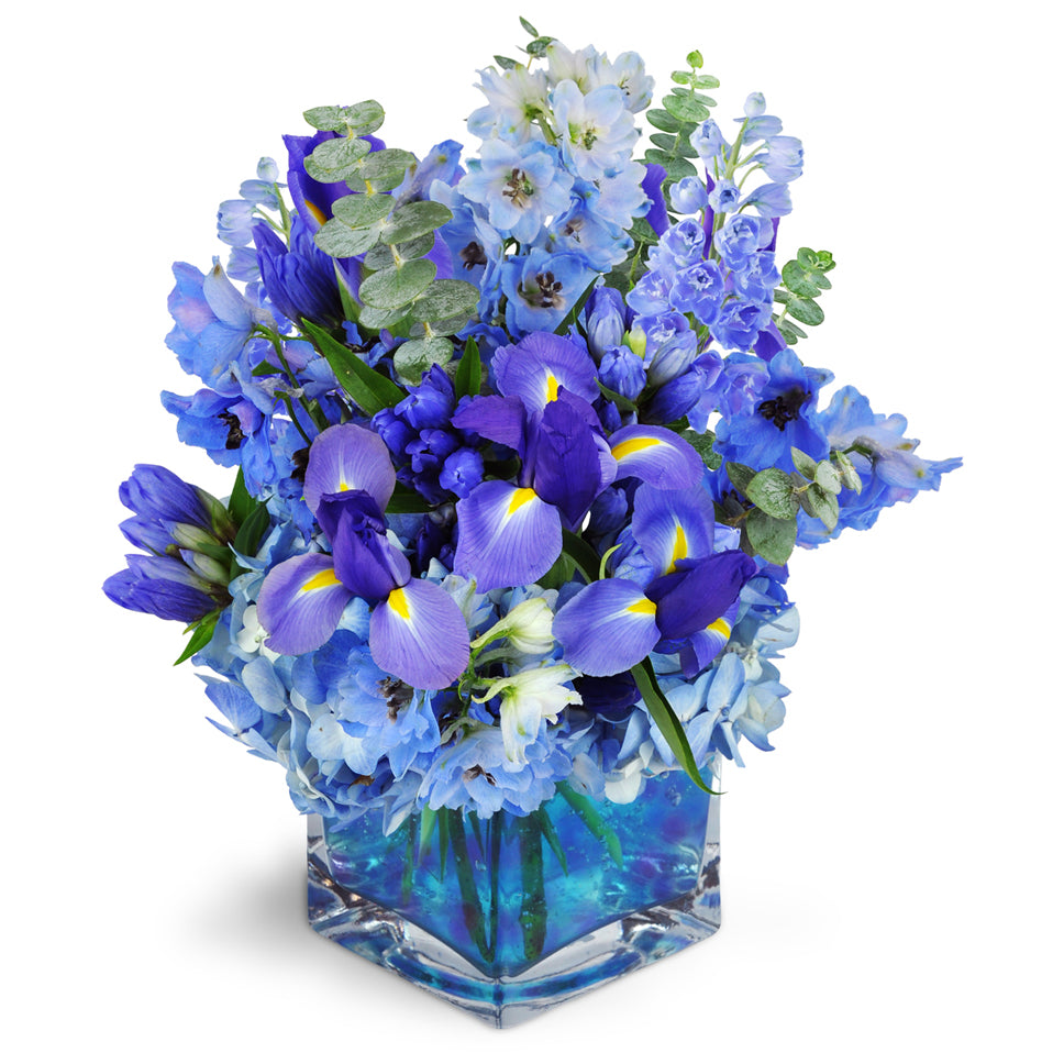 Paint the Sky™ - Premium. Delphinium, iris, balloon flowers, and more are artistically arranged in vibrant shades of blue.