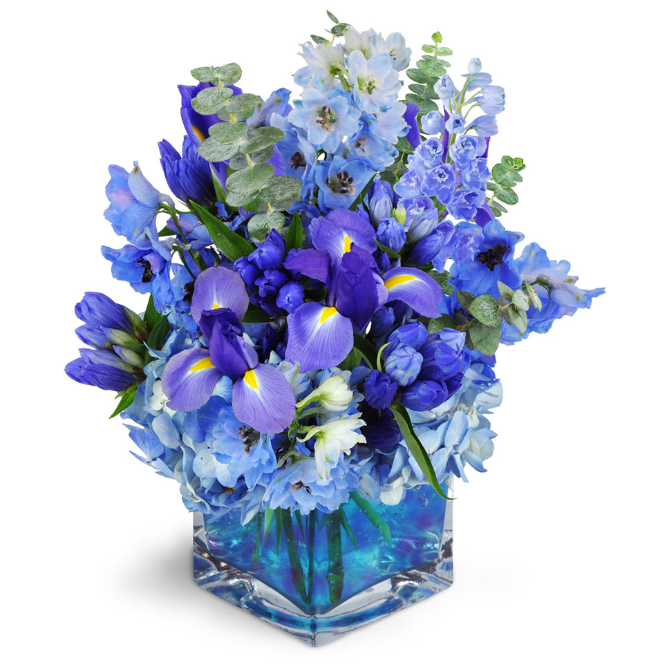 Paint the Sky™ - Deluxe. Delphinium, iris, balloon flowers, and more are artistically arranged in vibrant shades of blue.