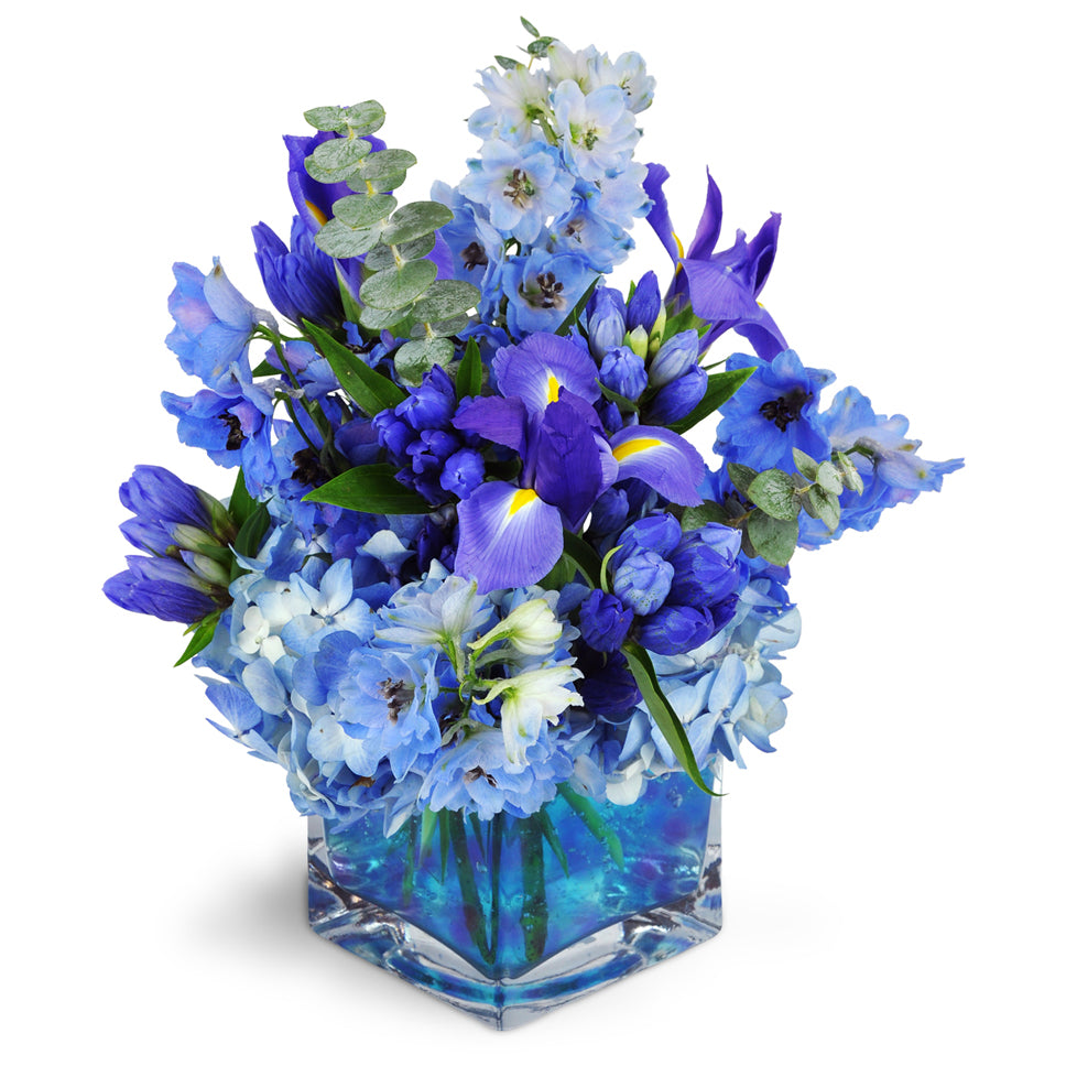 Paint the Sky™ - Standard. Delphinium, iris, balloon flowers, and more are artistically arranged in vibrant shades of blue.