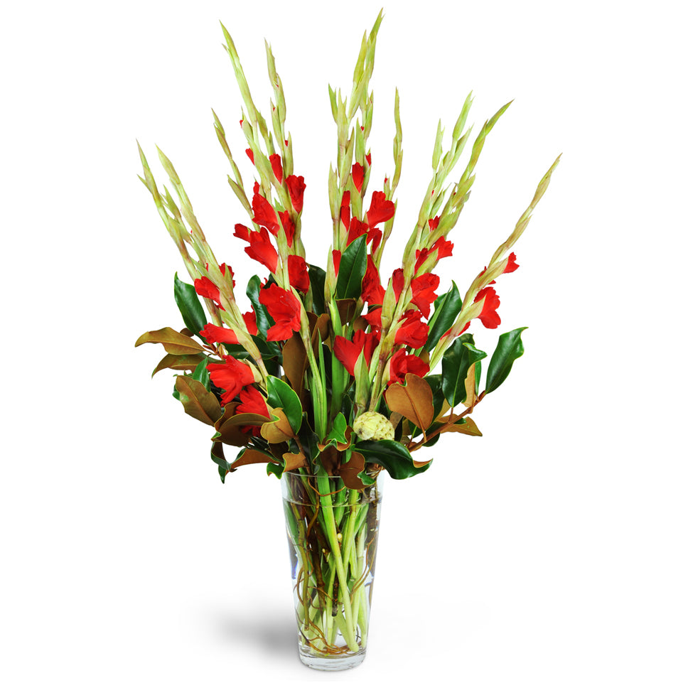 Sophisticated Splendor™. Surprise them with more than a dozen stems of gladiolus artfully arranged with magnolia and birch branches.