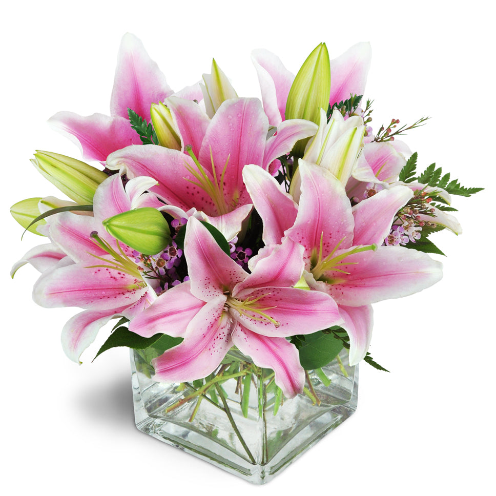 Pink Delight™ - Deluxe. Featuring stunning pink Stargazer lilies arranged with pink waxflower.