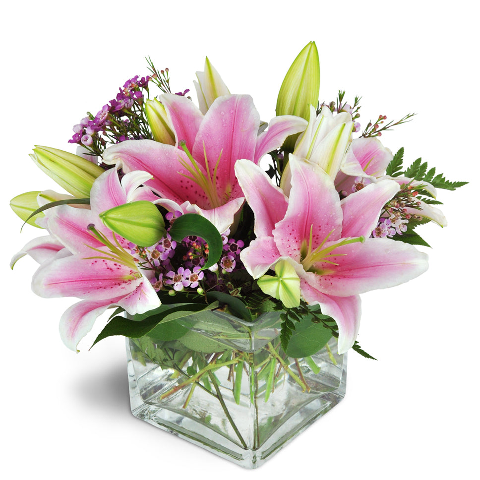 Pink Delight™ - Standard. Featuring stunning pink Stargazer lilies arranged with pink waxflower.