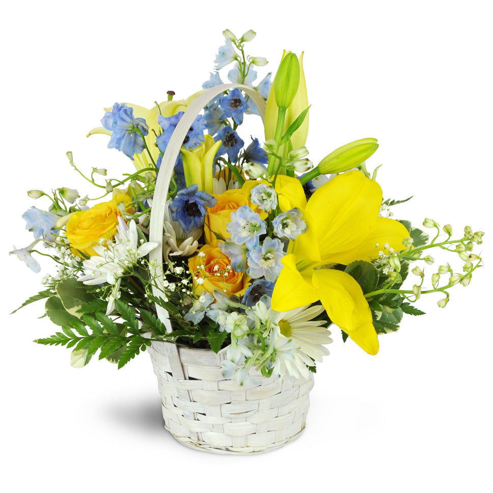 Sweetly Devoted™. Yellow roses and lilies blend charmingly with blue delphinium and white daisies in a lovely white basket.