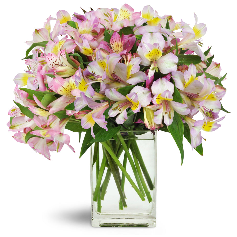 Lively Lilies™ - Premium. Classic pink and mauve alstroemeria are artistically arranged by hand and ready to make a statement.