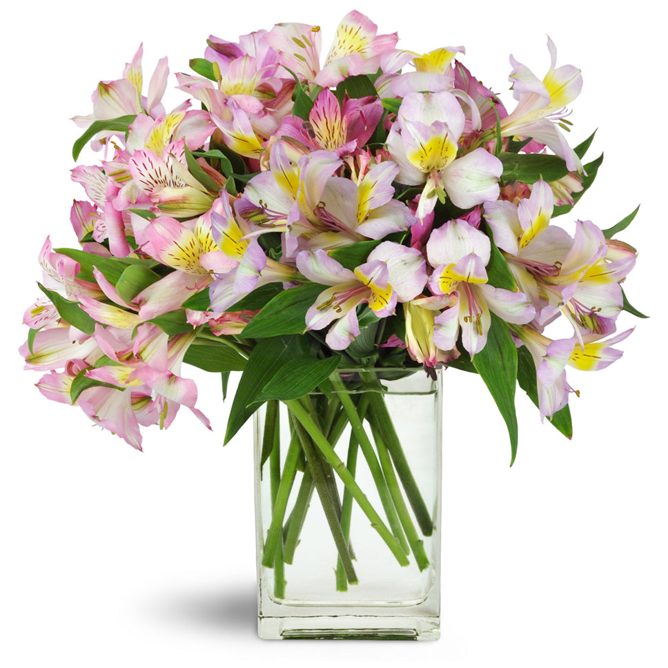 Lively Lilies™ - Deluxe. Classic pink and mauve alstroemeria are artistically arranged by hand and ready to make a statement.