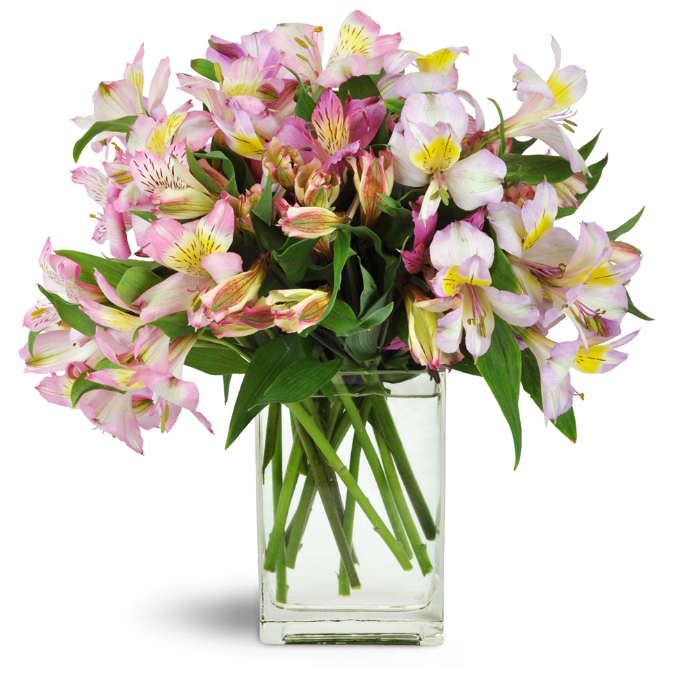 Lively Lilies™ - Standard. Classic pink and mauve alstroemeria are artistically arranged by hand and ready to make a statement.