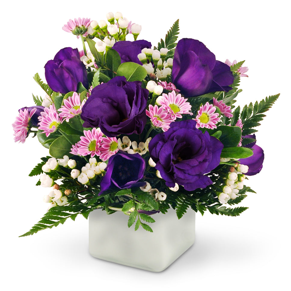 Wishes and Kisses - Deluxe. Delicate lisianthus, miniature daisies, and waxflowers are beautifully arranged in a glass vase and accented with leatherleaf and pittosporum.