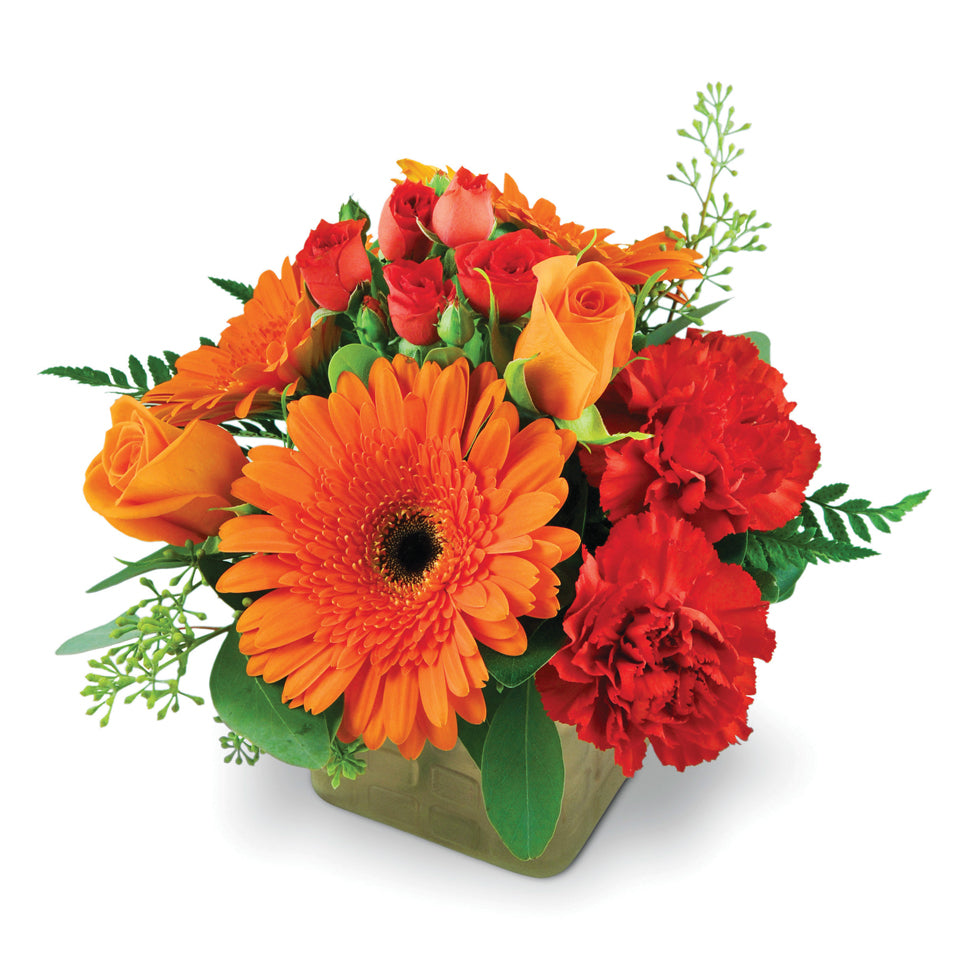 Sunrise Surprise. Treat them to a bouquet of roses, spray roses, Gerbera daisies, and carnations accented with seeded eucalyptus and pittosporum.