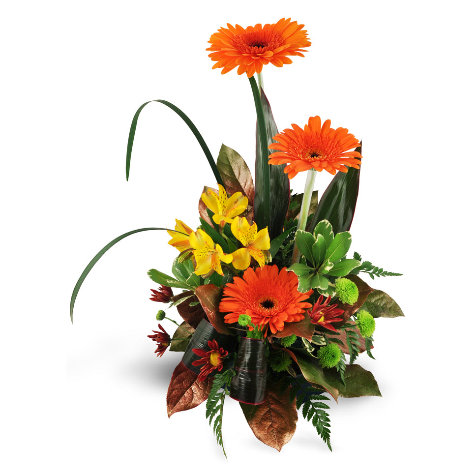 Rise Above. Gerbera daisies, alstroemeria, and button spray chrysanthemums are arranged with a variety of tropical greens.