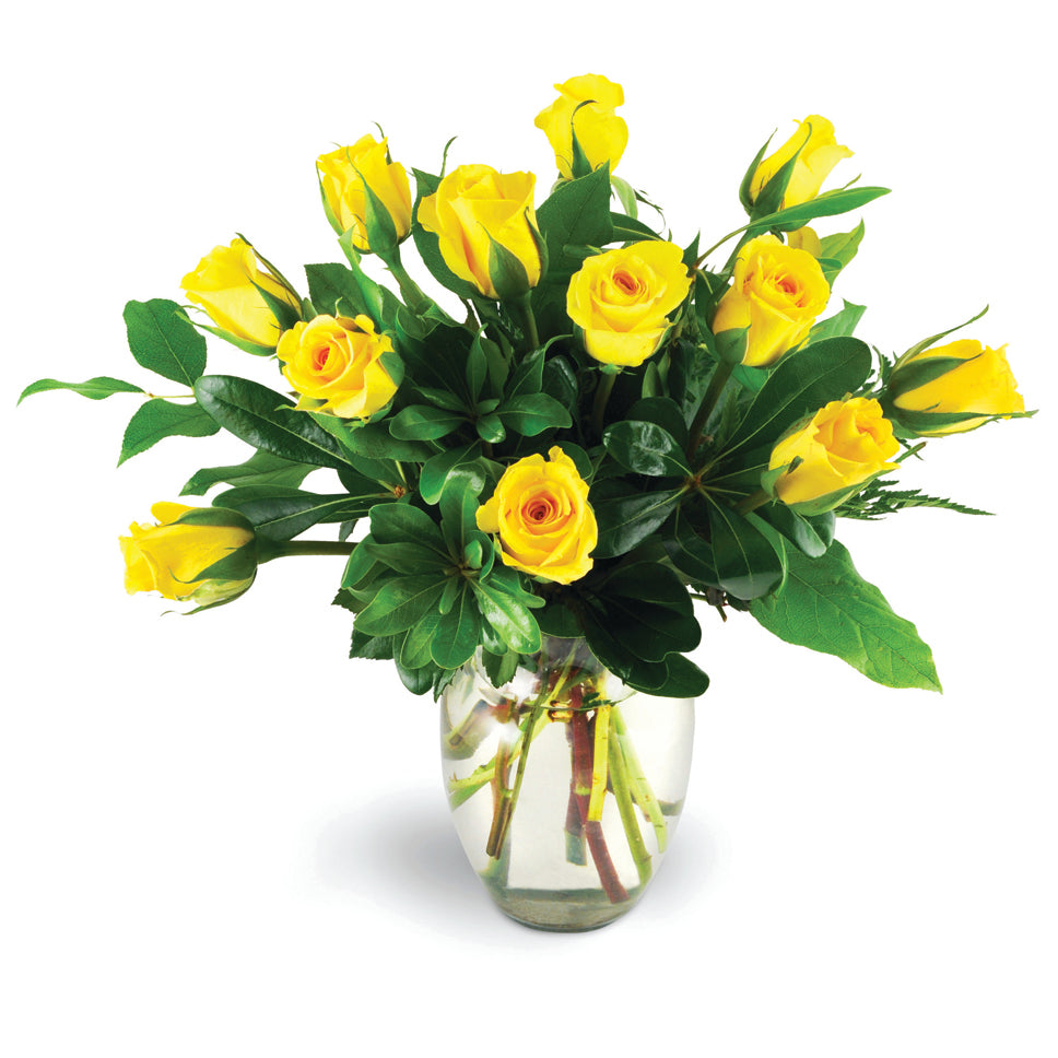 Yellow Rose Delight. Delight your special someone with one dozen yellow roses in a glass vase.