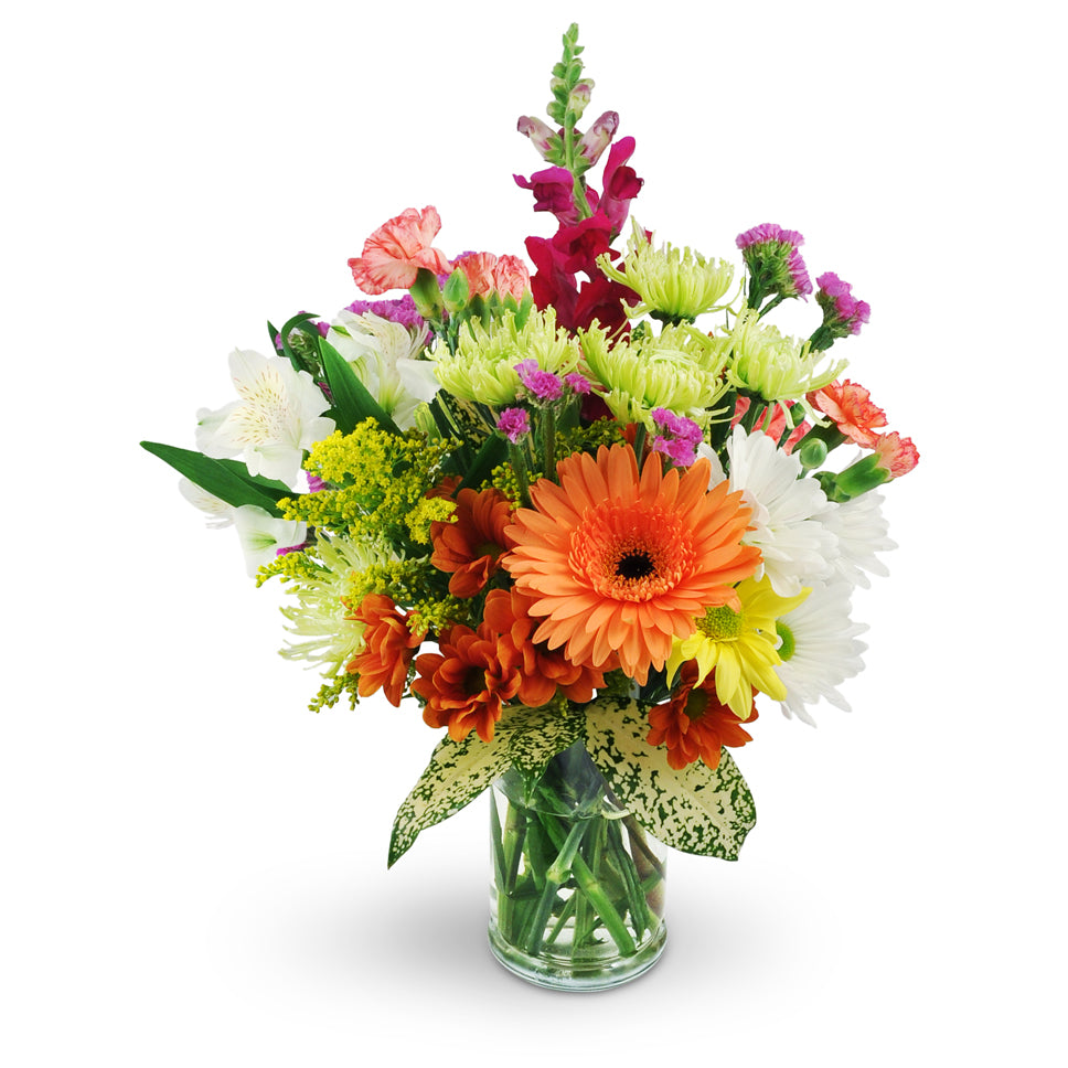 Midsummer Night's Dream. A dazzling mix of Gerbera daisies, snapdragons, alstroemeria, mini carnations, and a colorful variety of mums are arranged with solidago, raspberry statice, and tropical leaves.