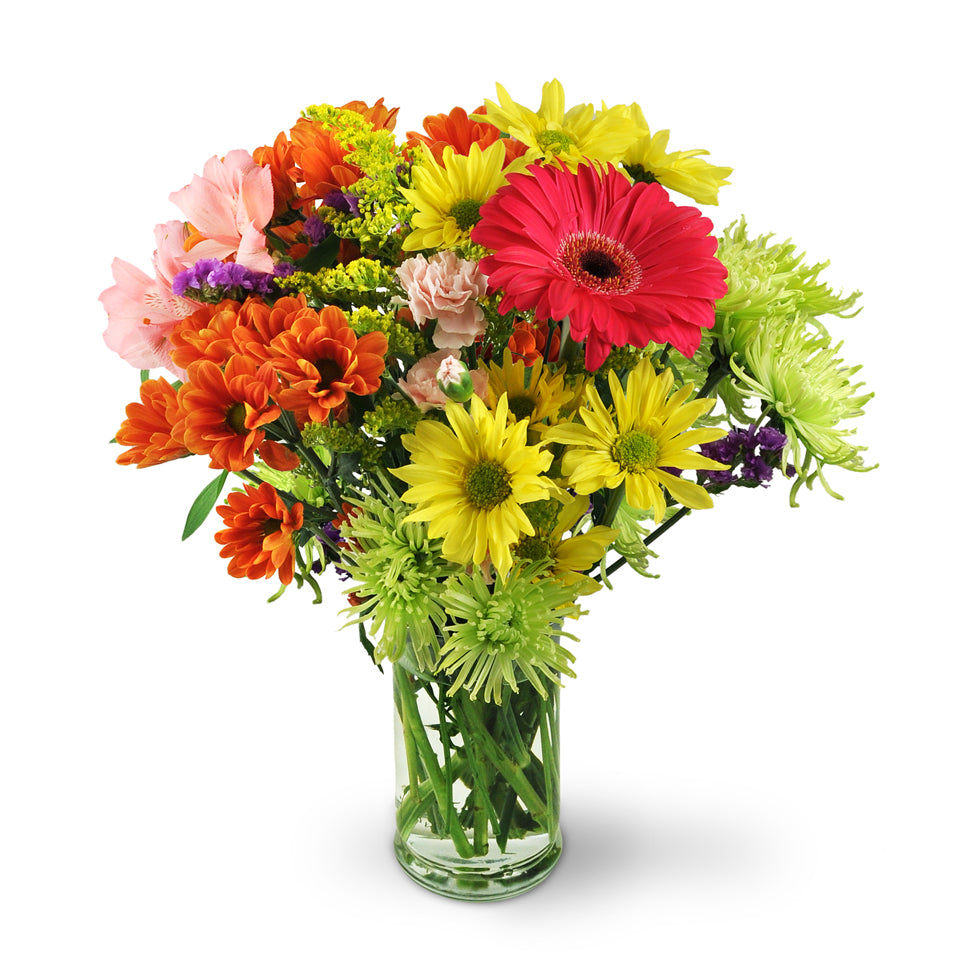 Flower Festival. Gerbera daisies, alstroemeria, mini carnations, and a colorful variety of mums are expertly arranged in a glass vase.