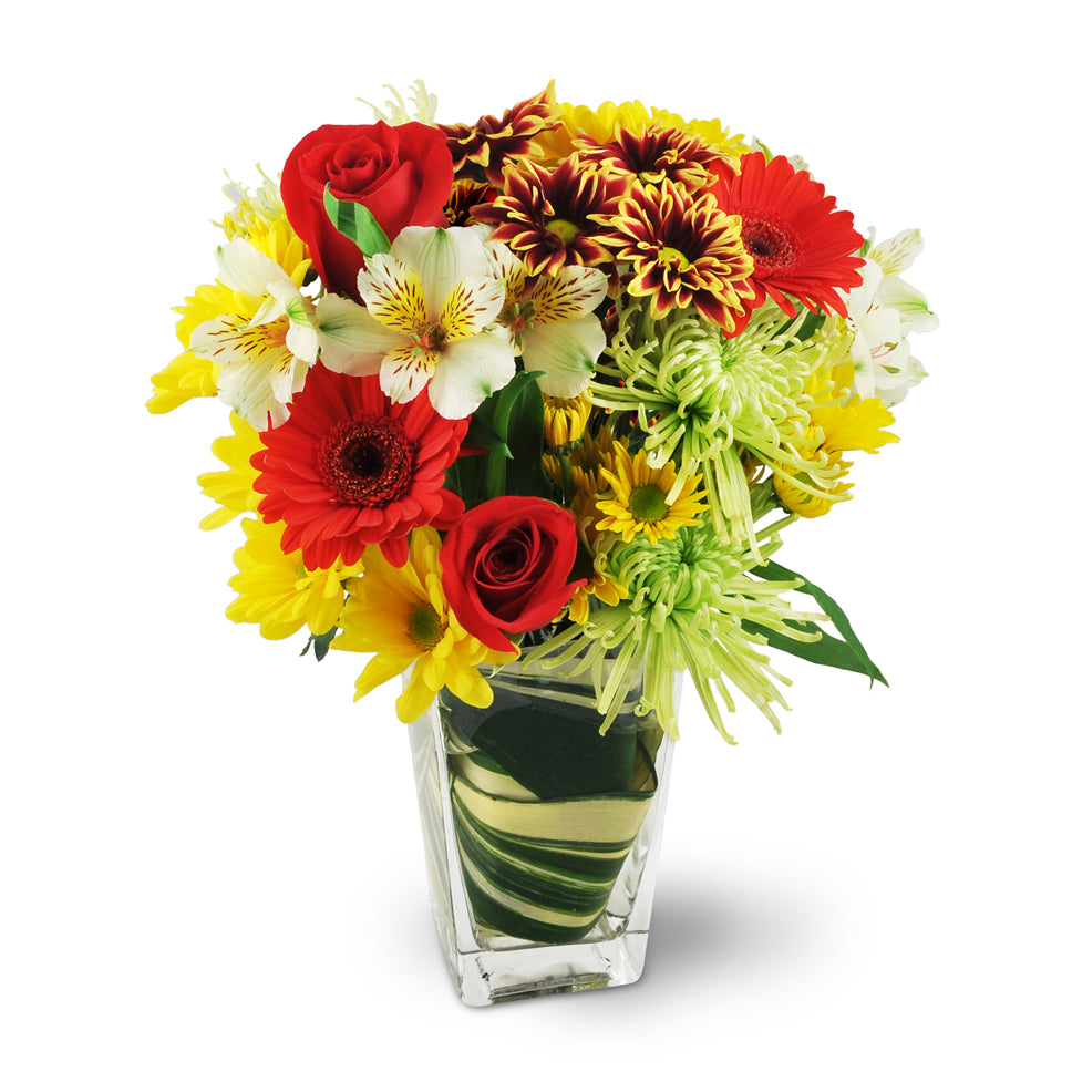 First Impressions. Red roses, Gerbera daisies, mums, and more are beautifully arranged in a tapered glass vase.