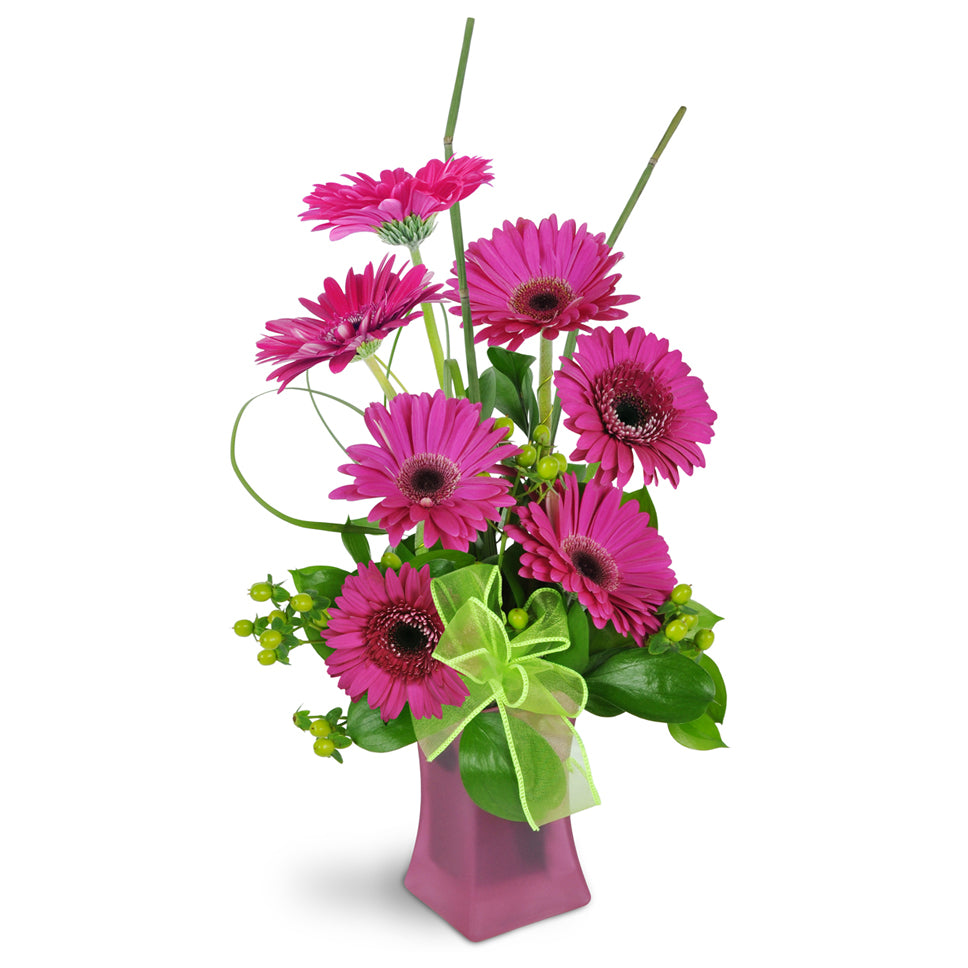 Happy Dance - Premium. Give them a gorgeous bouquet of Gerbera daisies, hypericum berries, snake grass, and more.