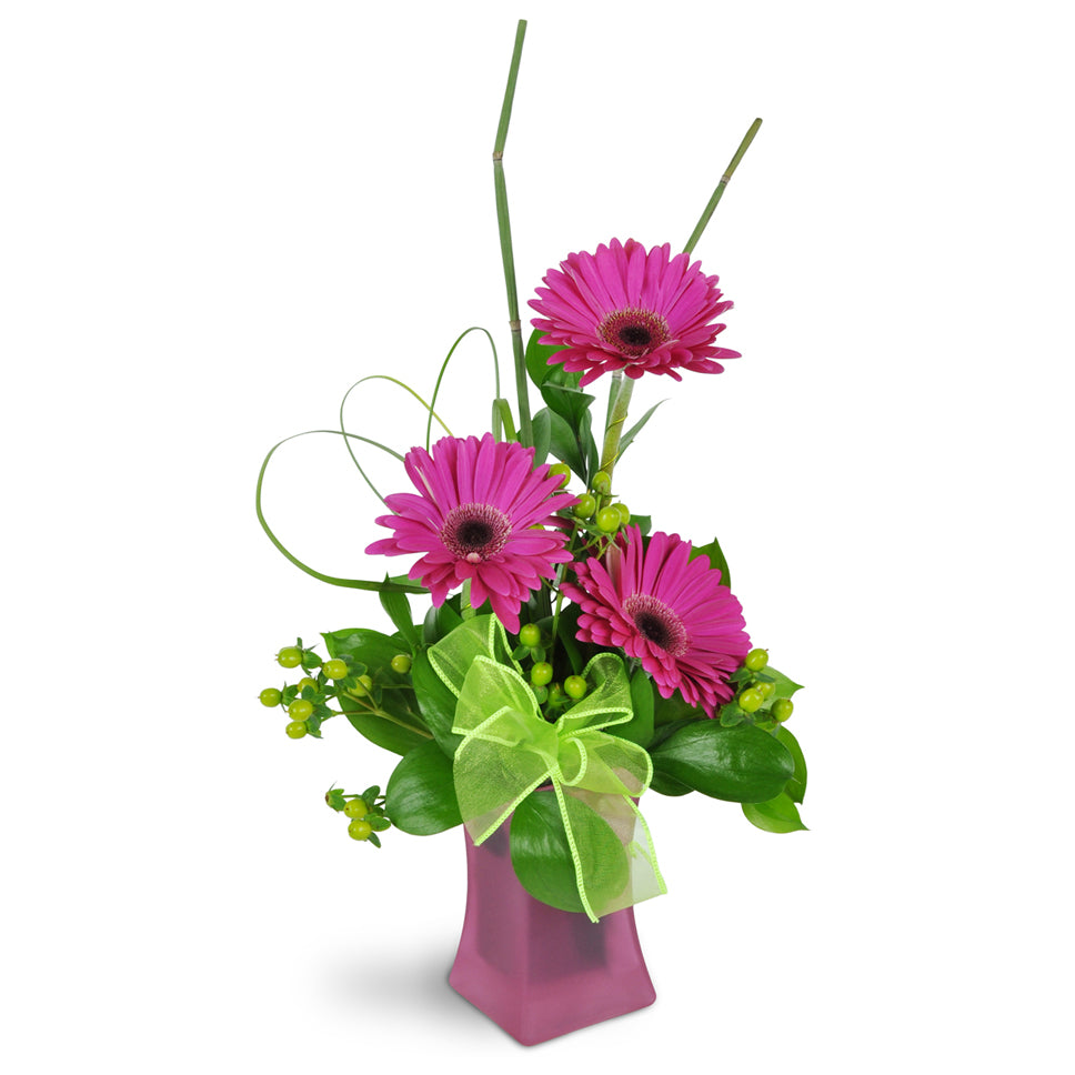 Happy Dance - Standard. Give them a gorgeous bouquet of Gerbera daisies, hypericum berries, snake grass, and more.