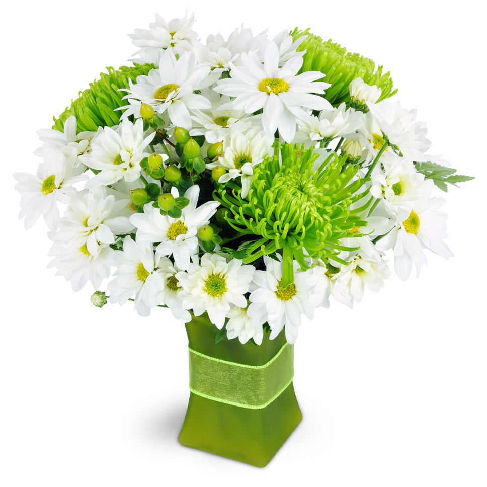 Garden Fresh - Deluxe. White daisies are perfectly completed with assorted greenery and a ribbon.