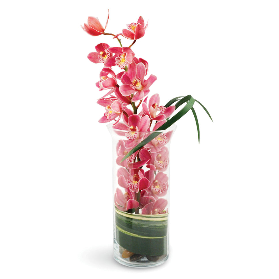 Peaceful Pink Orchids. A single pink miniature Cymbidium orchid stem is delicately wrapped in variegated aspidistra leaves and accented with monkey grass.