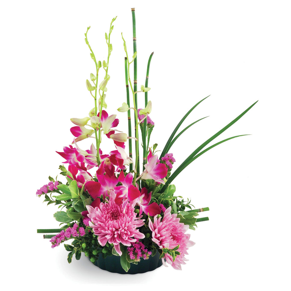 Birthday Wish - Dendrobium orchids, oversized chrysanthemums, and statice are arranged with an assortment of unique greens.